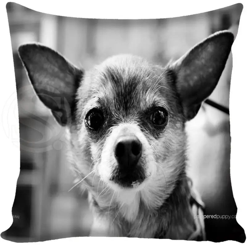 

Custom Chihuahua lovely dog Pillowcase Square Zippered Home Decorative Pillow Cover Two Sides Printed 35X35 40X40 45X45 60X60