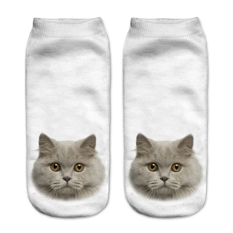 e62f018a9d8838fc55cb4cb3d0bc3f4c1c1047ef6516f8ada0d493fcb8