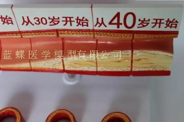 QQ20180812191313