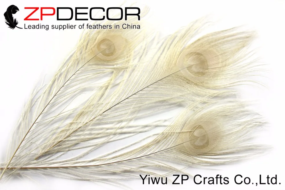 ZPDECOR 50 шт./лот 25 30 см (10 12 дюймов) ручной выбор красивые цвета слоновой кости
