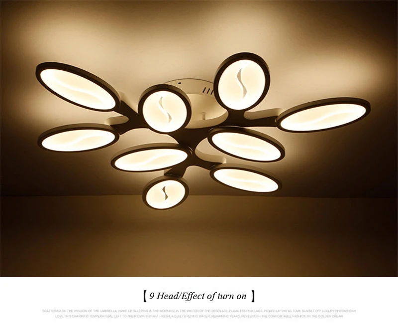 Post modern ceiling lamp (22)