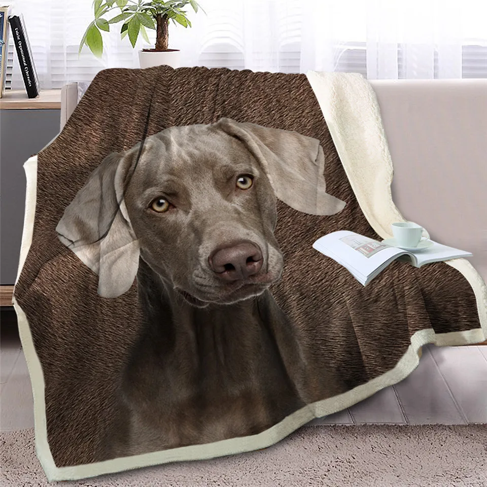 毛海威马犬