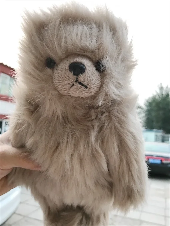 teddy bear with hair