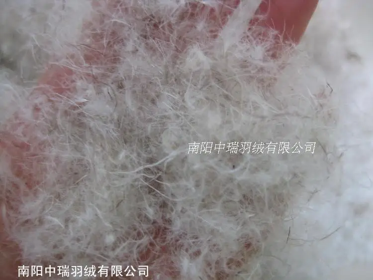 Fill power 800 гусиный пух. пух наполнитель в пуховике. утиный пух в пуховике до скольки. утиный пух в пуховике до скольки. утиный пух в пуховике до скольки.