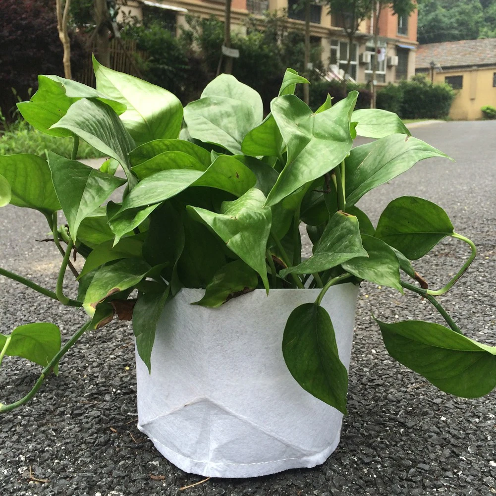 10 Gallon Pot Promotion-Shop for Promotional 10 Gallon Pot