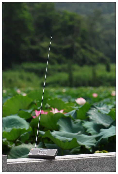 20108614555027901