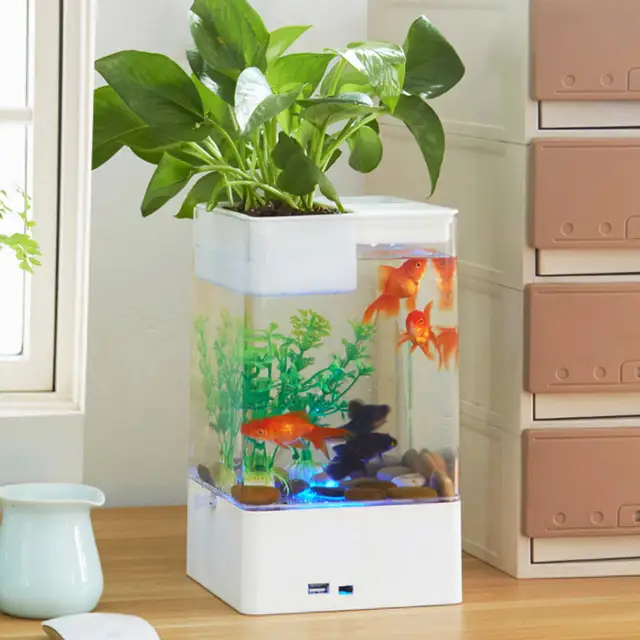 Usb Acrylic Aquarium Multicolour Fish Tank With Led Light Office