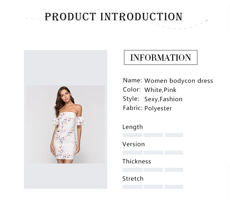 Product introduction
