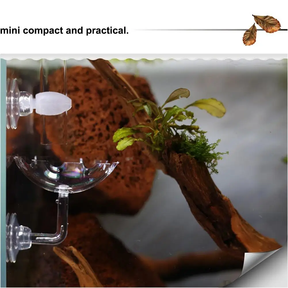 New Aquarium Fish Shrimp Feeder Acrylic Fish Tank Floating Bowl Flower Shape Food Feeder With Suction Cup Aquarium Supplies