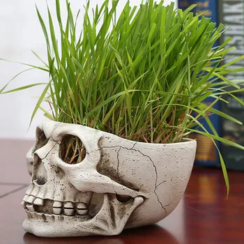 

Halloween Horror Simulation Skull Flower Pot Movie Props Model Garden Supplies Resin Flower Pots Planters