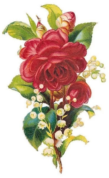 20130327201747_3nfdV