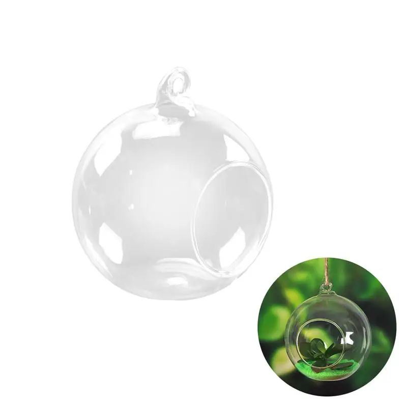 

Create Refreshing Transparent Hanging Glass Planter Terrarium Vase Home Decor (Orb)