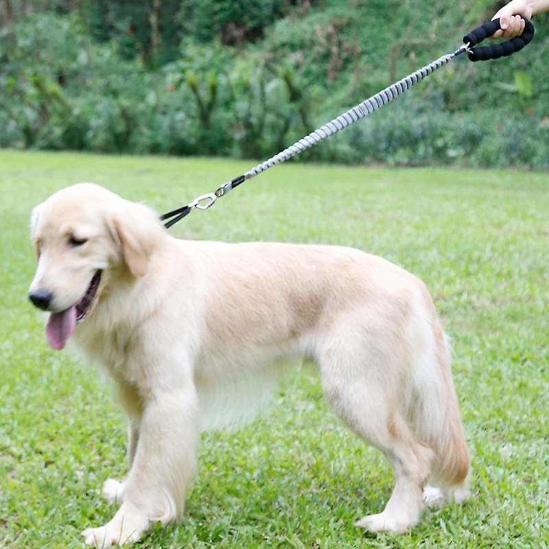 

JORMEL Dog Mountain Climbing Rope Reflective Dog Leash Nylon Rope Pet Running Tracking Leashes High elastic stretch belt