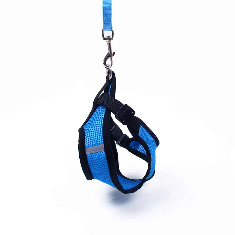 6 harness dog 