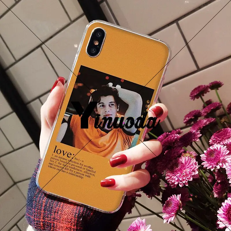 Hit pop singer Shawn Mendes love