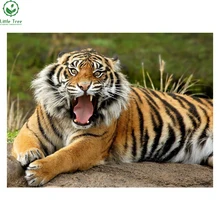 Новинка года Diy 3d алмазов картина Пластик холст мозаика вышивка стразами смолы ремесла домашнего декора тигр животных