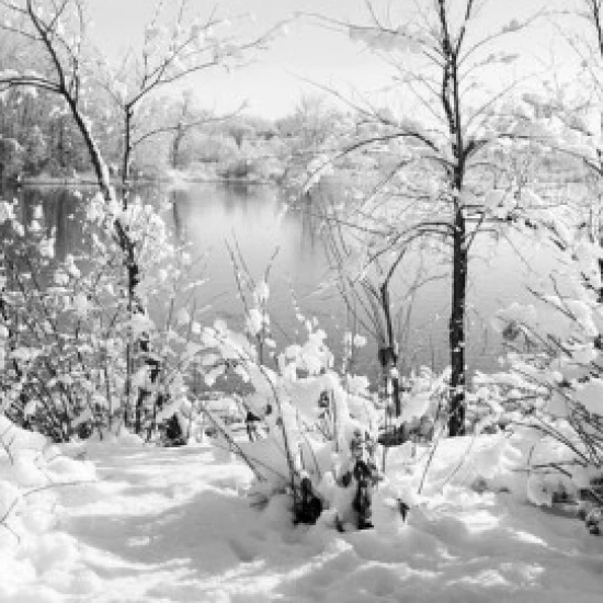 Lake in winter Poster Print (18 x 24)