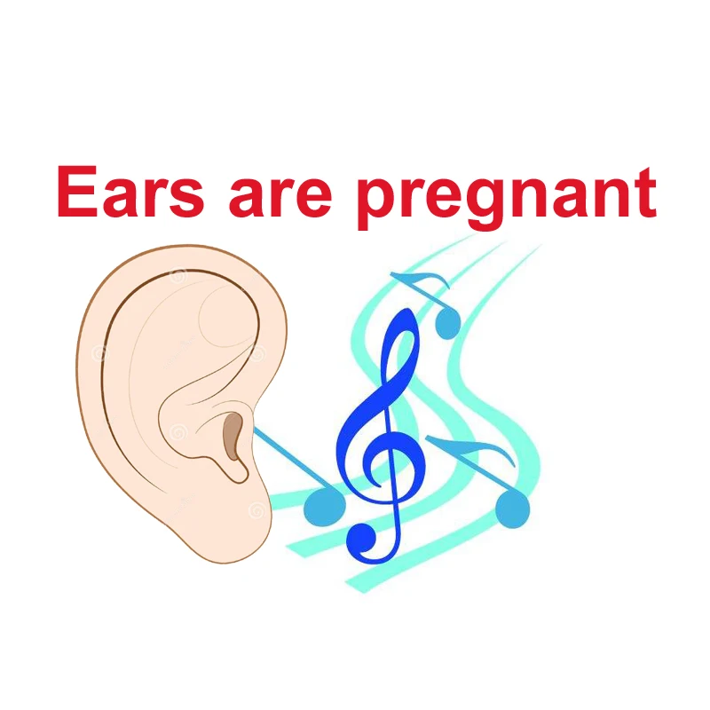 

Bluetooth device car kit Lossless Music player for Professional musicians, music enthusiasts audiophiles