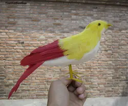 Большой 30 см Моделирование Птица модель полиэтилена и перья желтый и красный птица ремесленного, украшения сада s1128
