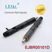 EJBR05101D автозапчасти запасные форсунки в сборе 8200676774 Евро 4 дизельное топливо Common Rail форсунки EJBR0 5101D 166001137r