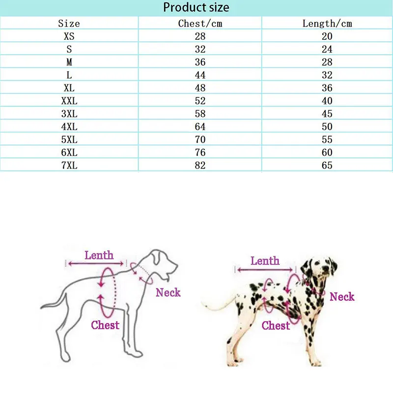 new year costume for dogs