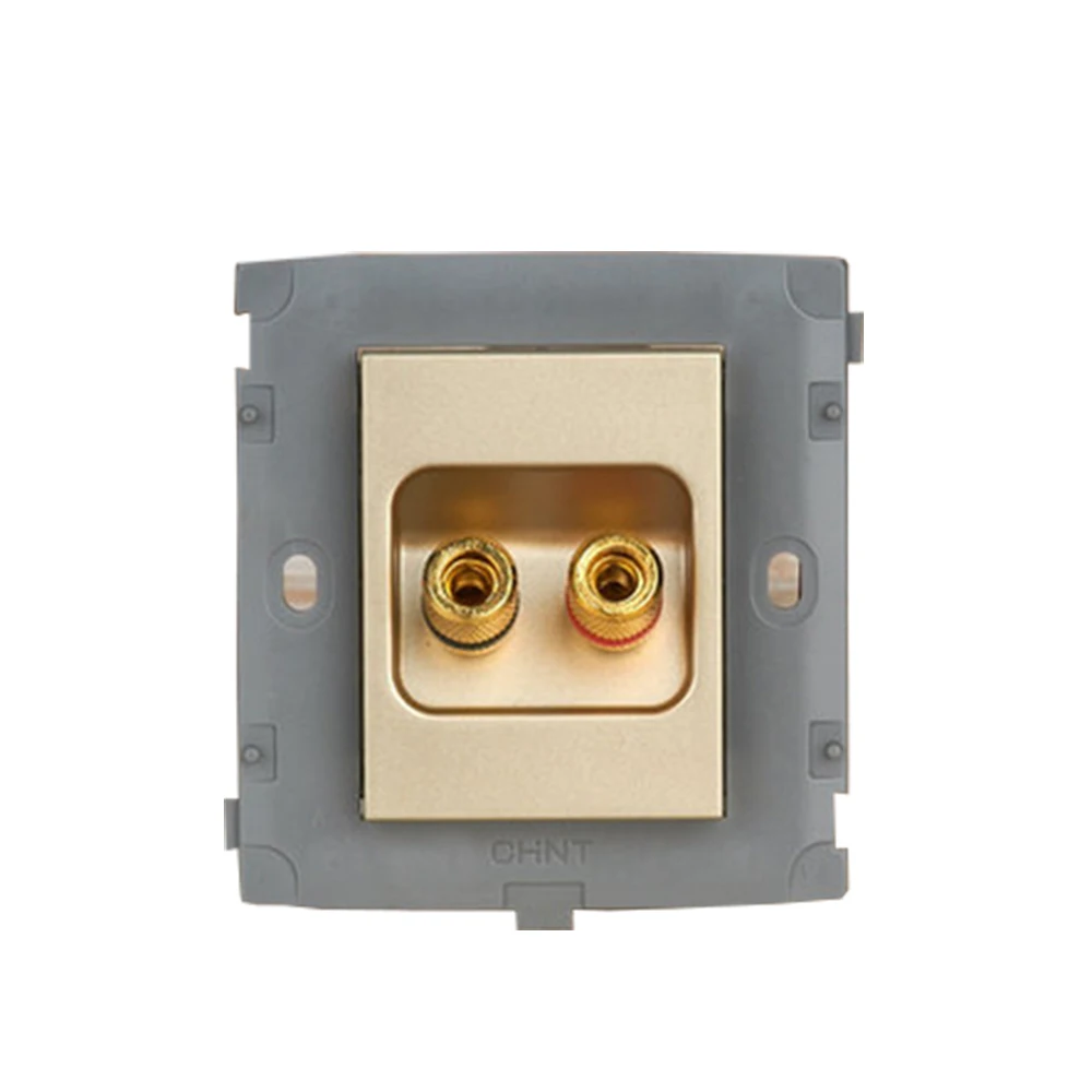 

CHINT Electric Two-hole Audio Module NEW2K Light Champagne Gold Socket