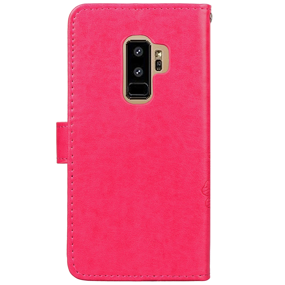 IMG_6166