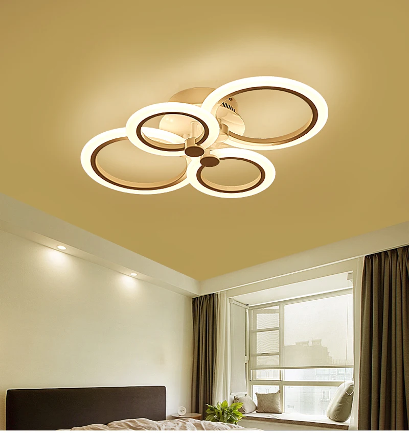 ceiling light (19)