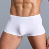 DANJIU Summer Ice Silk Men Underwear Sexy Gay Thin Soft Breathable Male Boxer Shorts Seamless Solid Underpants Calzoncillos ► Photo 2/6