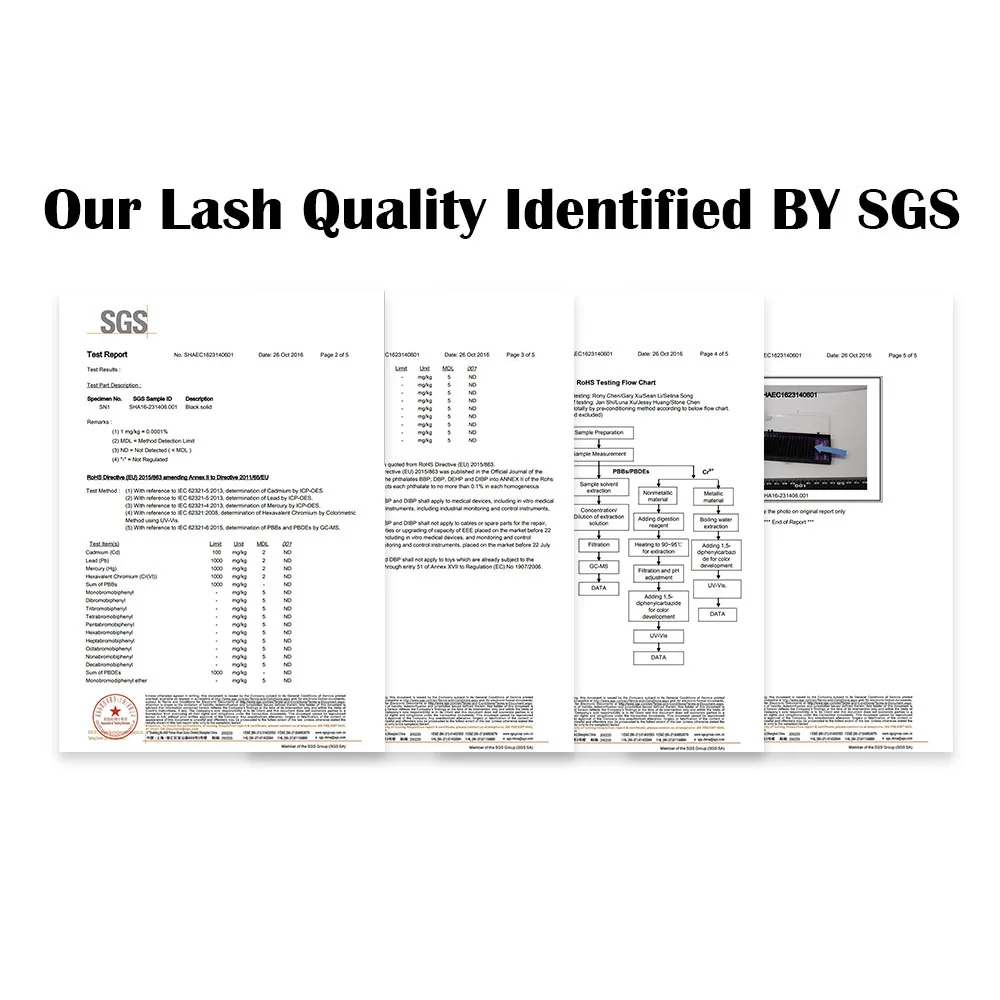 L5