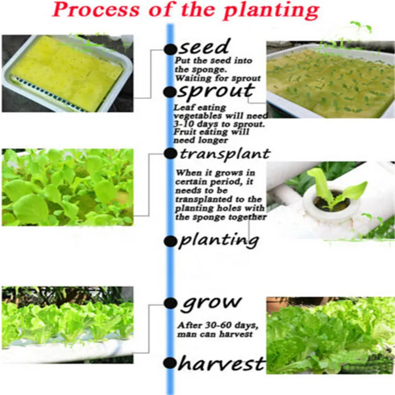 Гидропоники сайта растут комплекта 36 посадки сайты садовое растение Системы овощи ящик для инструментов гидропонного выращивания растений рост рассады Наборы