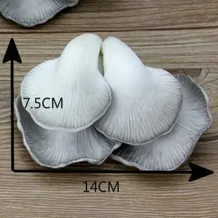 Ресторан настольные украшения ремесла ПУ имитация еды гриб модель шкафа декоративные реквизиты 2 шт./лот - Цвет: B