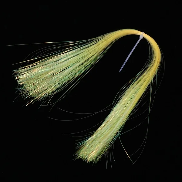 2SS100646-Y