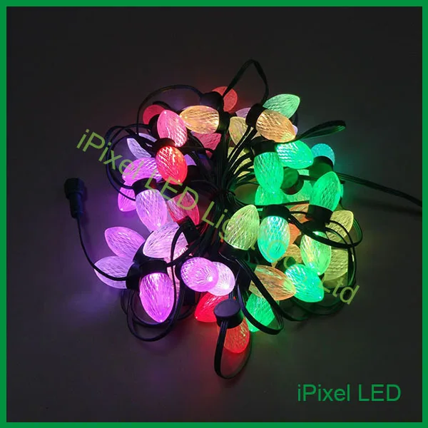 Buy D24 Digital 2 SMD5050 RGB LED Christmas Light,waterproof WS2811