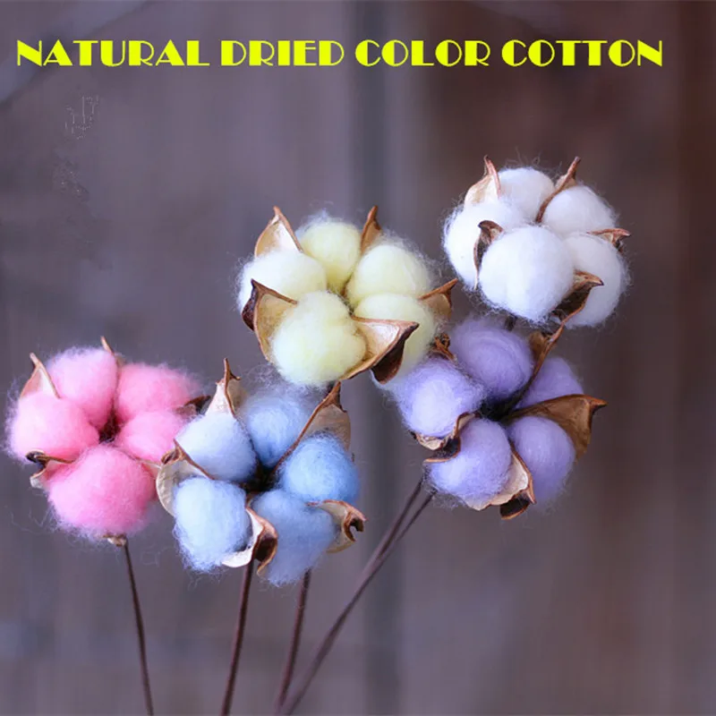 new year cotton flower new dried flower cotton lotus rural style new year cotton flower new dried flower cotton lotus rural style