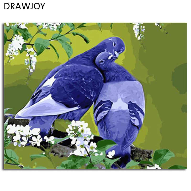 

DRAWJOY Framed Animal Birds DIY Painting By Numbers On Canvas Painting And Calligraphy Wall Art For Home Decor 40x50