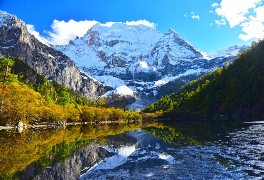 

Laeacco Snow Mountain Lake Trees Photo Backgrounds Customized Vinyl Digital Photography Backdrops For Photo Studio