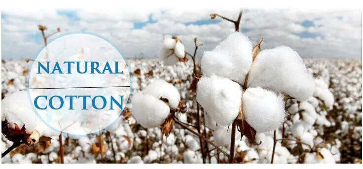 1619796106_1010064251