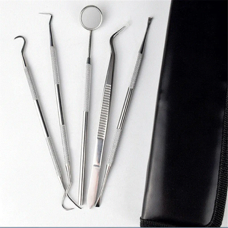 A0125 5Pcs Stainless Dental Tool Set Kit Dentist Teeth Clean Hygiene