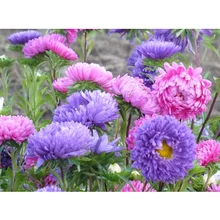 

5D DIY Diamond Embroidery Patterns Rhinestone Bedroom Decoration Full Round Diamond Mosaic Painting Crafts YZ164