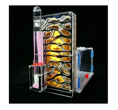 36020180416160037943