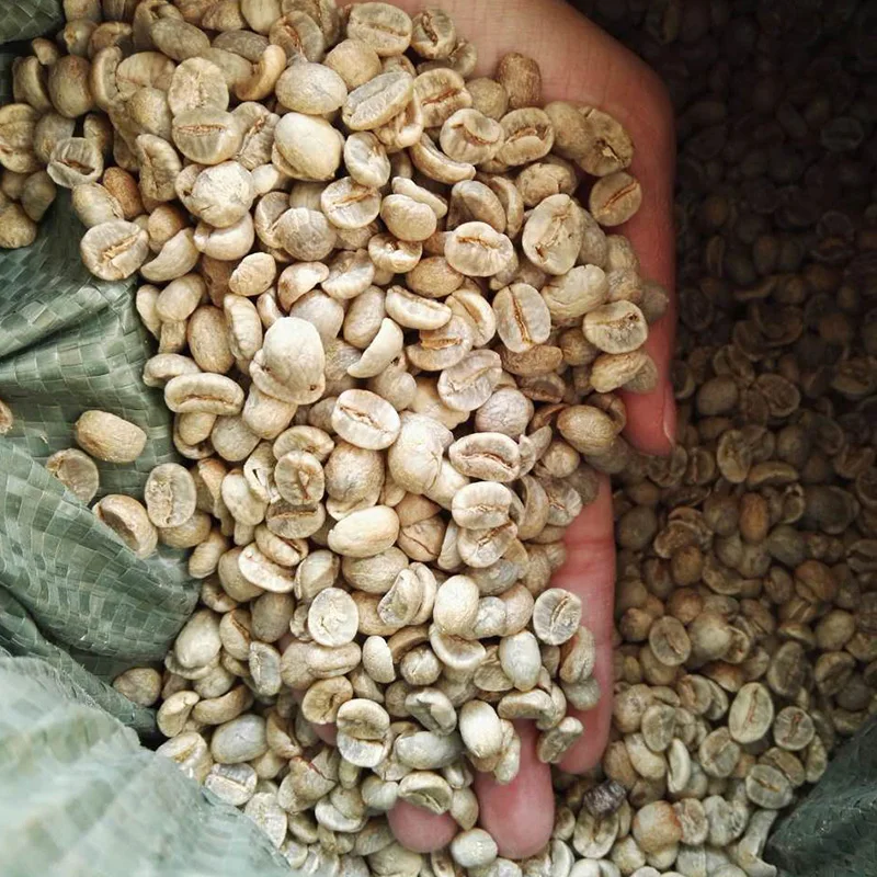 High Land Raw Coffee Beans 500g Green coffee beans Bulk Sale Best