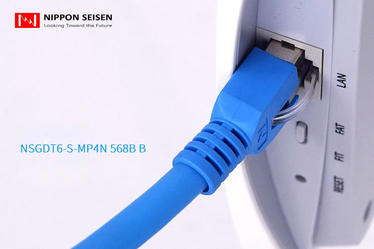 NSGDT6-S-6 CAT6