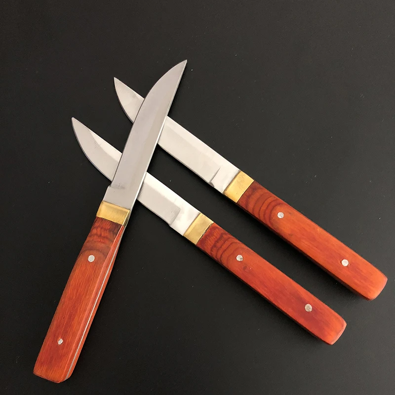 

3pcs/set Stainless Steel Small Straight Knife Wood Handle Multi-function Utility EDC Hand Tools Travel Picnic Kitchen Knives