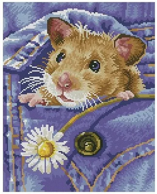 cs1064                      120X150X25