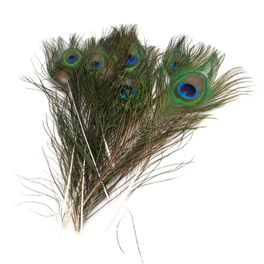 

10 x 30cm Natural Peacock Feather House Decoration