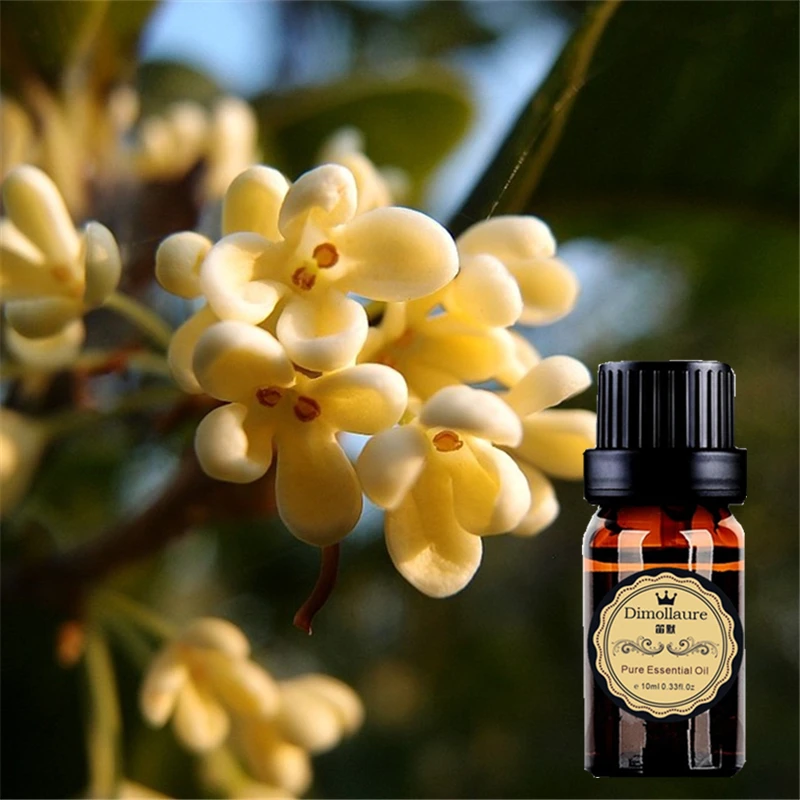 Dimollaure Osmanthus эфирное масло помогает уснуть Ароматерапия Ожерелье эфирное масло диффузор ароматизатор лампа эфирное масло