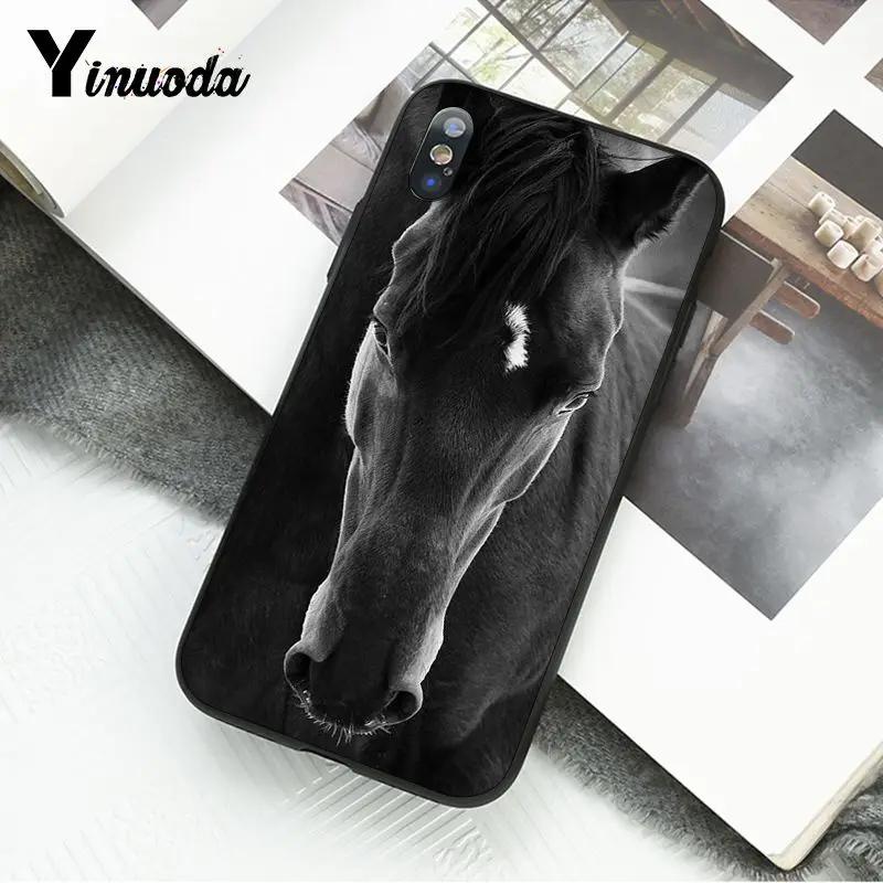 Horse Animal Printed