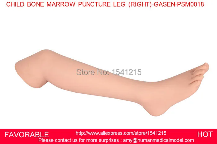 INFANT BONE MARROW PUNCTURE SIMULATOR MODEL, BABY BONE MARROW PUNCTURE MODEL,CHILD BONE MARROW PUNCTURE LEG -GASEN-PSM0018 amplified alar bone sphenoid bone amplification model