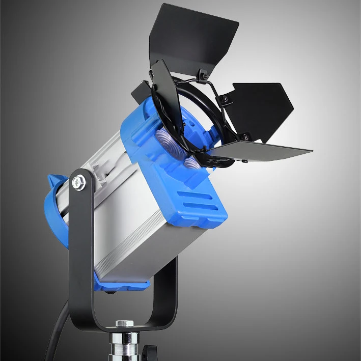 Fresnel Tungsten 1000W light+Bulb+Barndoor for photographic equipment Studio Video Light For Camera